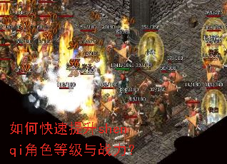 如何快速提升shenqi角色等级与战力? 如何快速提升shenqi角色等级与战力?