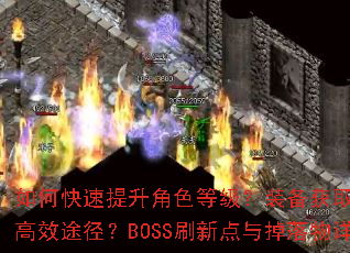 如何快速提升角色等级?装备获取有哪些高效途径?BOSS刷新点与掉落物详解 如何快速提升角色等级?装备获取有哪些高效途径?BOSS刷新点与掉落物详解