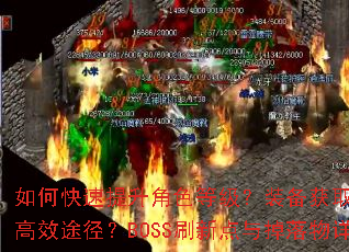 ��ο���������ɫ�ȼ���װ����ȡ����Щ��Ч;����BOSSˢ�µ�����������