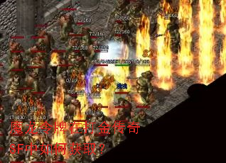 魔龙令牌在打金传奇SF中如何获取? 魔龙令牌在打金传奇SF中如何获取?
