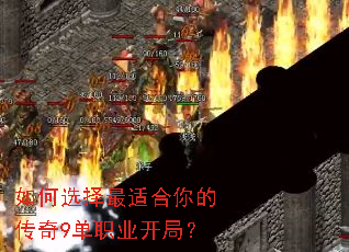 ���ѡ�����ʺ���Ĵ���9��ְҵ���֣�