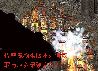 传奇宠物蛋版本如何获取与培养最强宠物? 传奇宠物蛋版本如何获取与培养最强宠物?