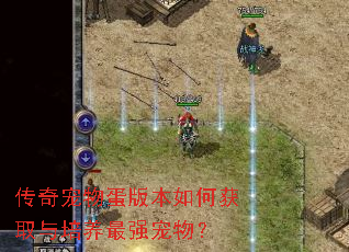传奇宠物蛋版本如何获取与培养最强宠物? 传奇宠物蛋版本如何获取与培养最强宠物?
