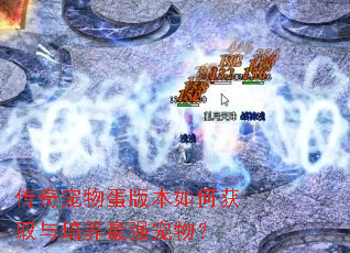 传奇宠物蛋版本如何获取与培养最强宠物? 传奇宠物蛋版本如何获取与培养最强宠物?