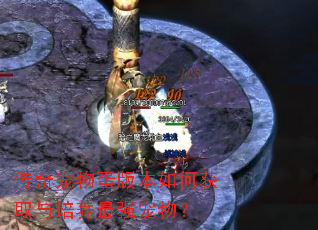 传奇宠物蛋版本如何获取与培养最强宠物? 传奇宠物蛋版本如何获取与培养最强宠物?