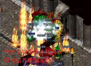传奇宠物蛋版本如何获取与培养最强宠物? 传奇宠物蛋版本如何获取与培养最强宠物?