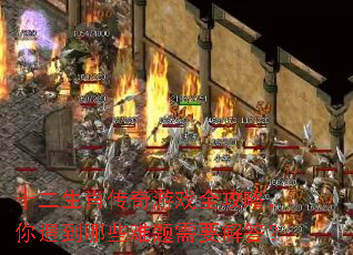 ʮ����Ф������Ϸȫ���ԣ���������Щ������Ҫ���