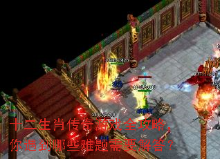 ʮ����Ф������Ϸȫ���ԣ���������Щ������Ҫ���