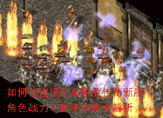 ��ο���������ְҵ�����·���ɫս�������ֹ���ȫ����